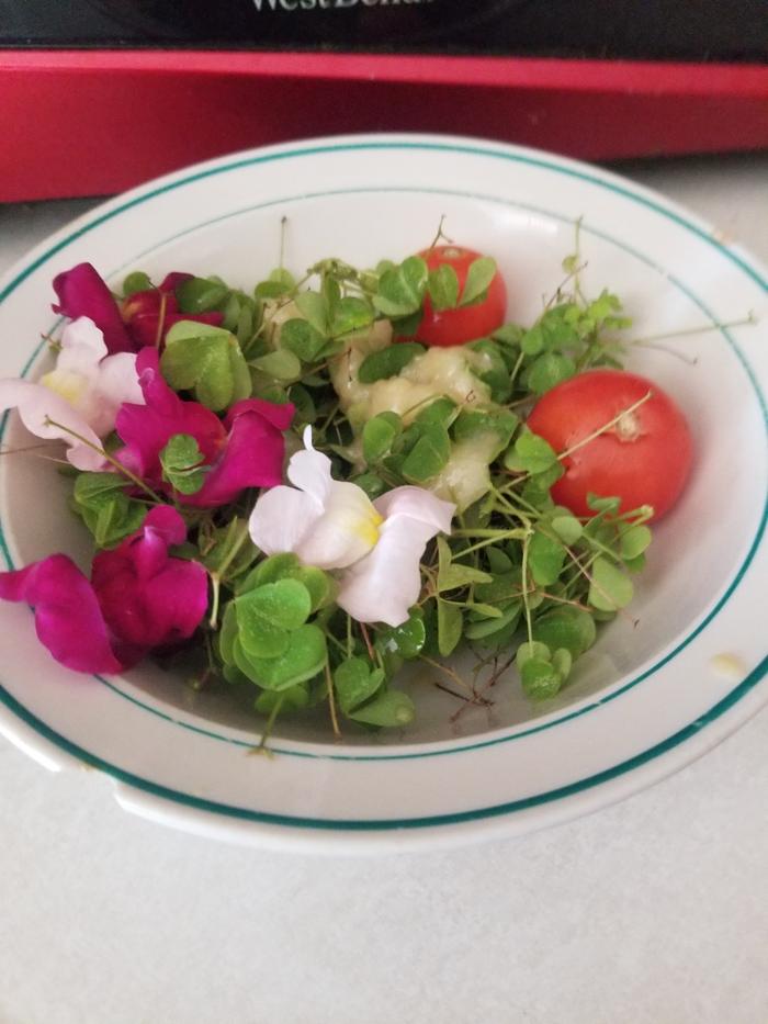 dish 1 completed salad withgarden fresh tomatoes and snapdragon flowers