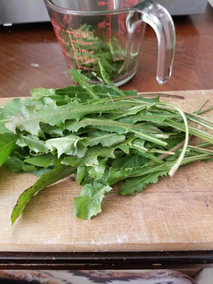 dish 2 prepping leaves by cutting 