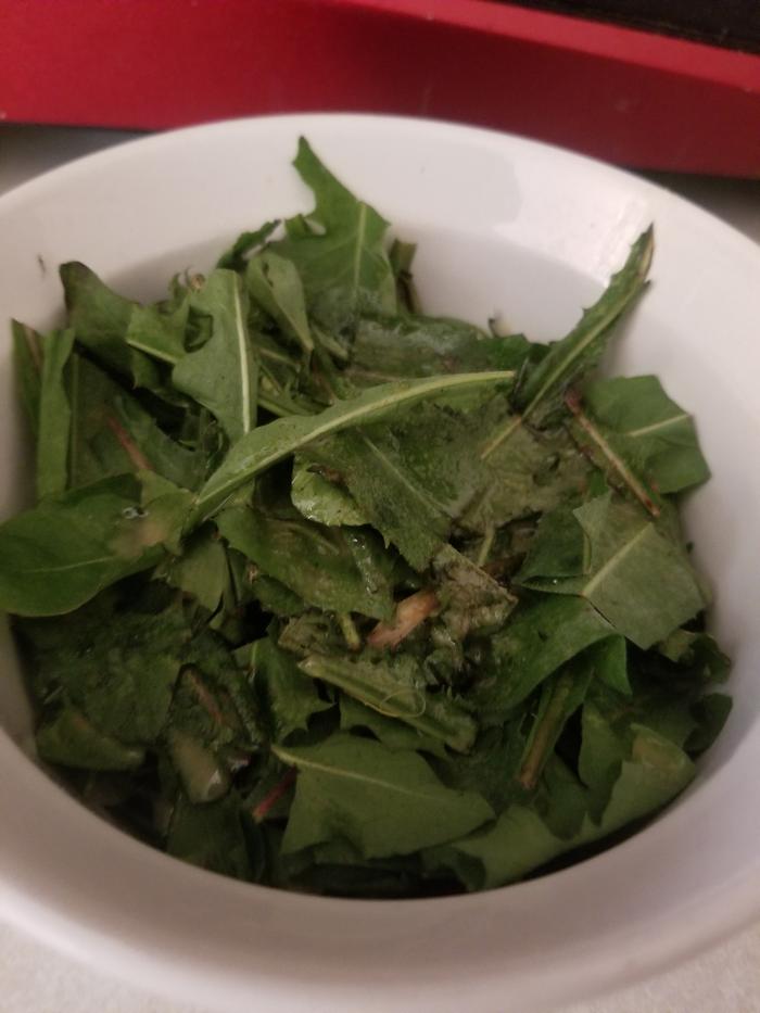 dish 2 dandelion leaf salad with honey mustard dressing, salt and pepper 