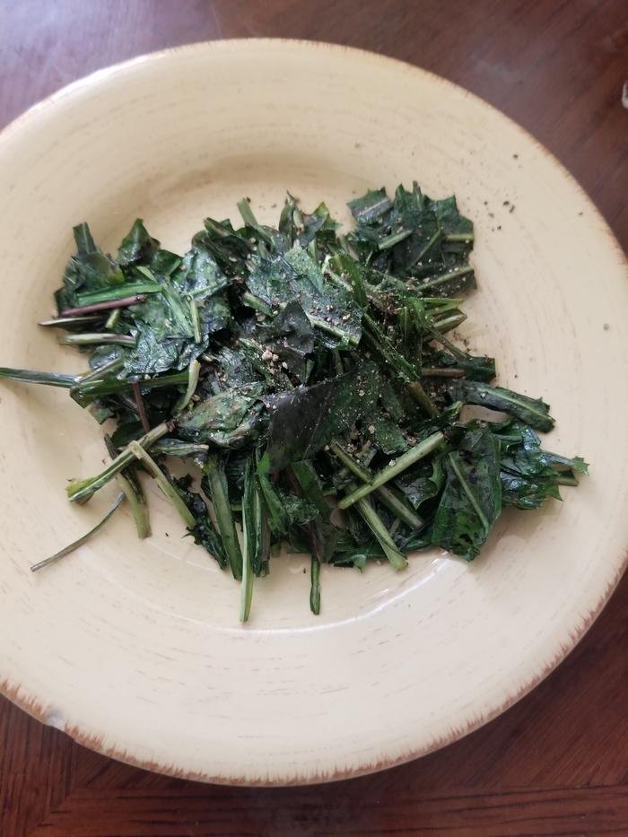 dish 3 cooked dandelions with salt and pepper 