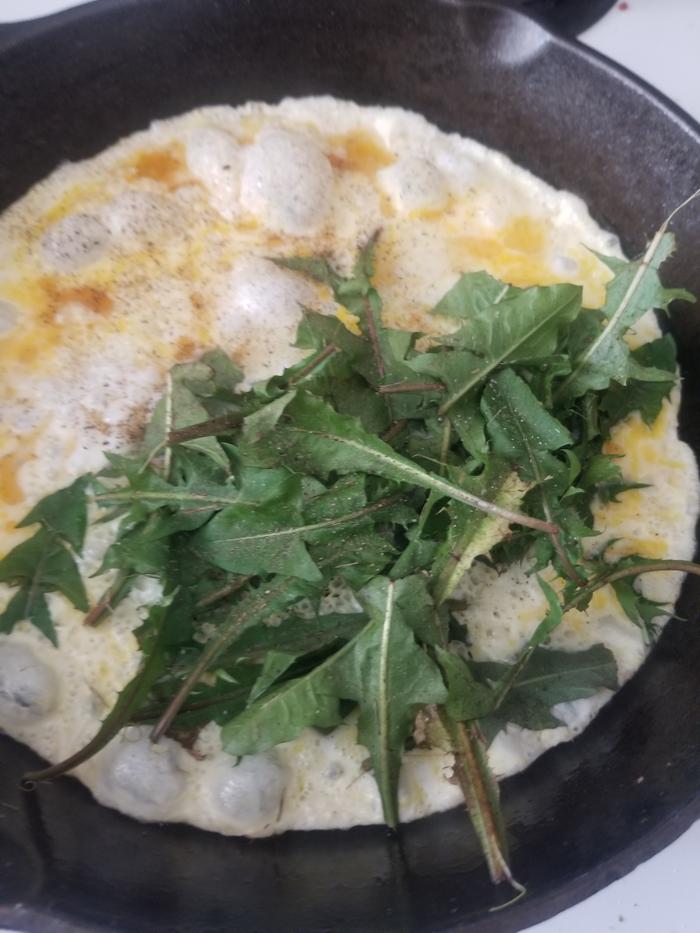 dish 4 cooking omlet in cast iron skillet 