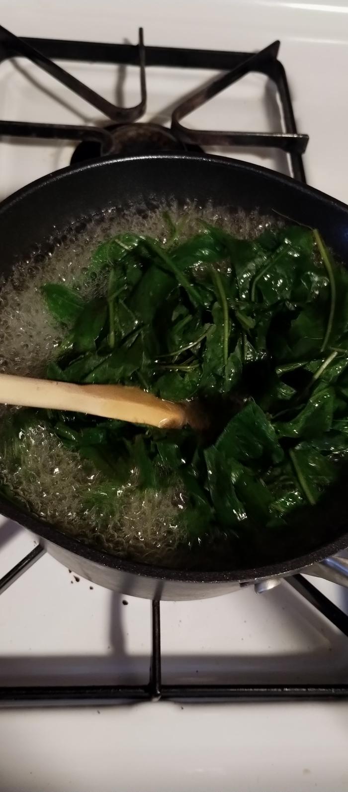 preparing the dandelions
