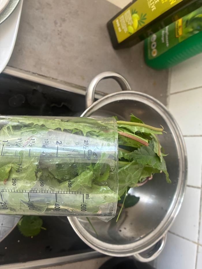 A lot of dandelion and nettle leaves.