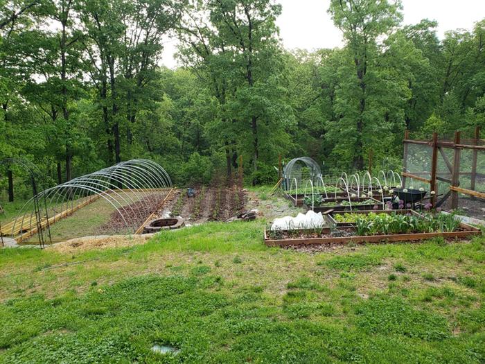 My Ozarks garden