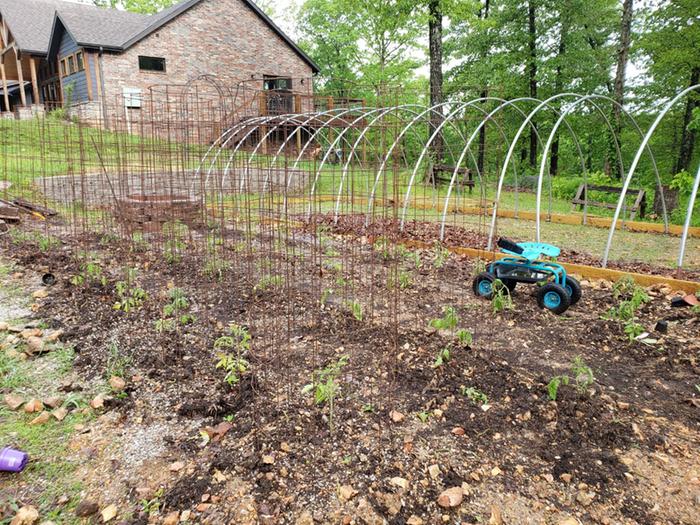 My Ozarks garden
