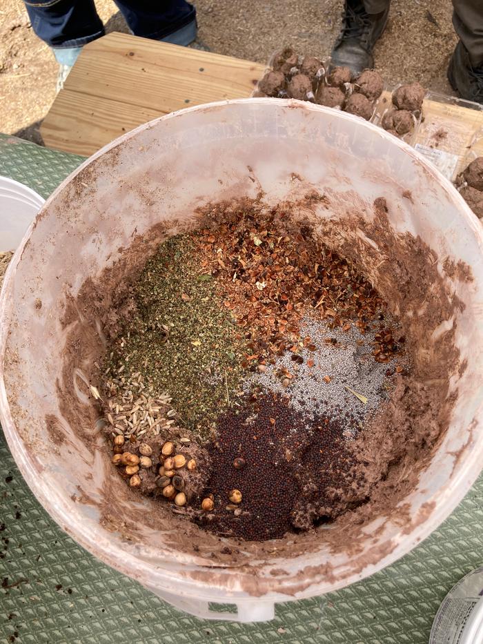 Seeds in mixing container 