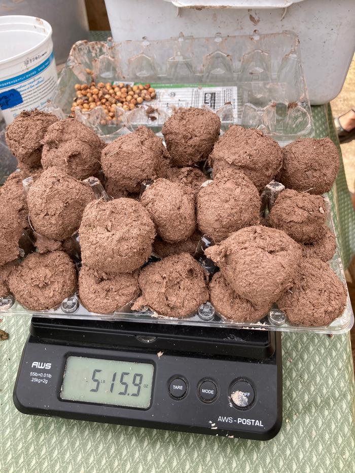 5 lbs of seed balls