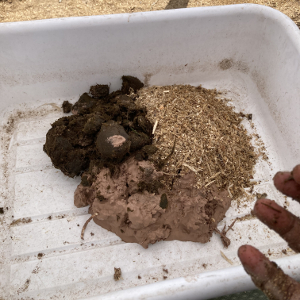 Hydrated clay, wild horse manure, sawdust