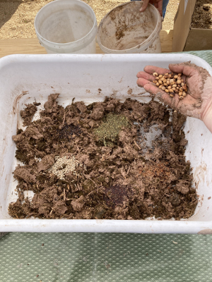 seeds in mixing container