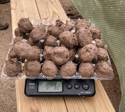 over 5# of seed balls