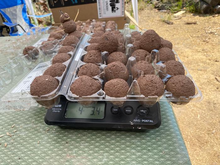 4 lbs seed balls!