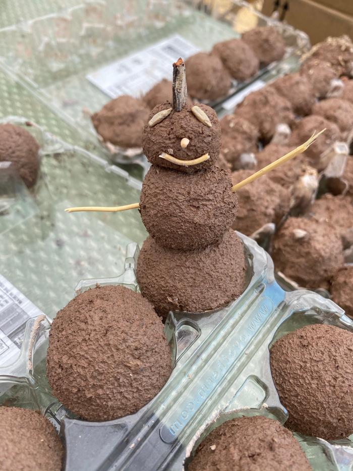 Seed ball snowman