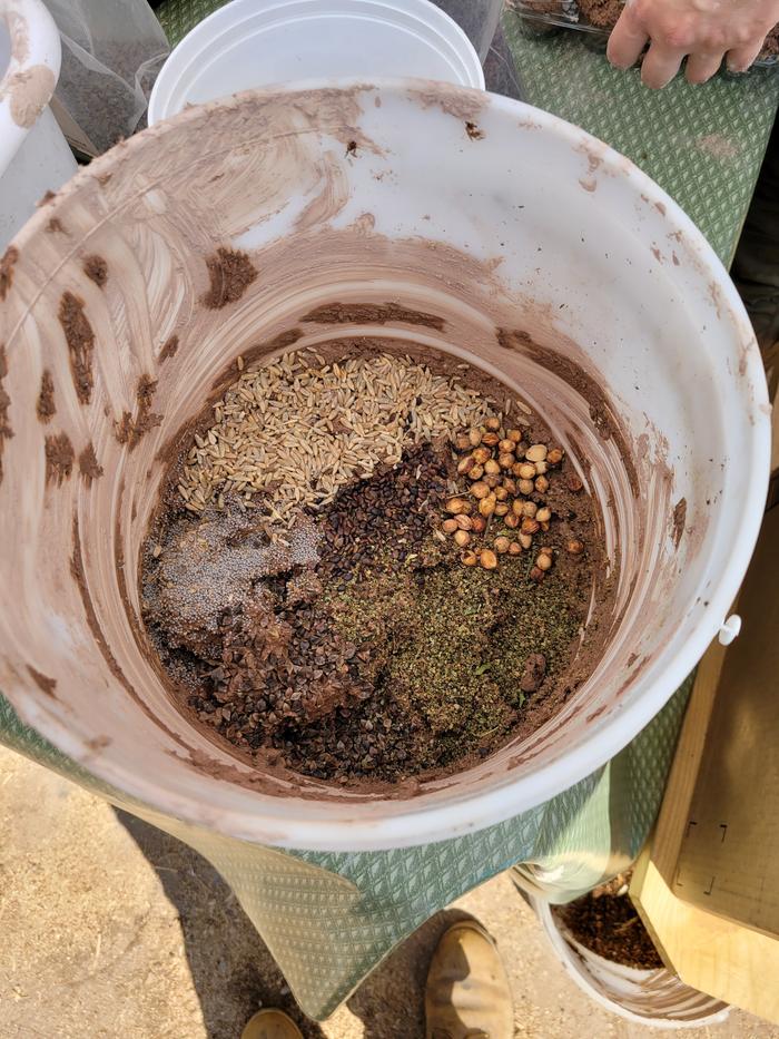 Clockwise from the top, Sept holtzer grain, cherry, amaranth, buckwheat, clover and black locust in the middle