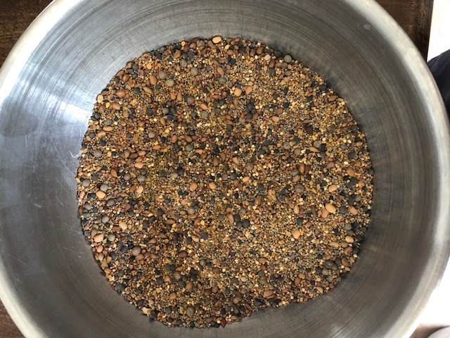 Seeds in container