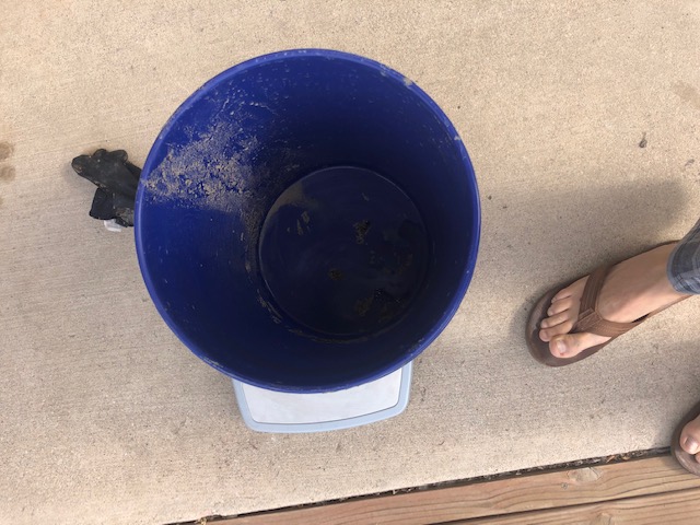 Empty bucket on scale