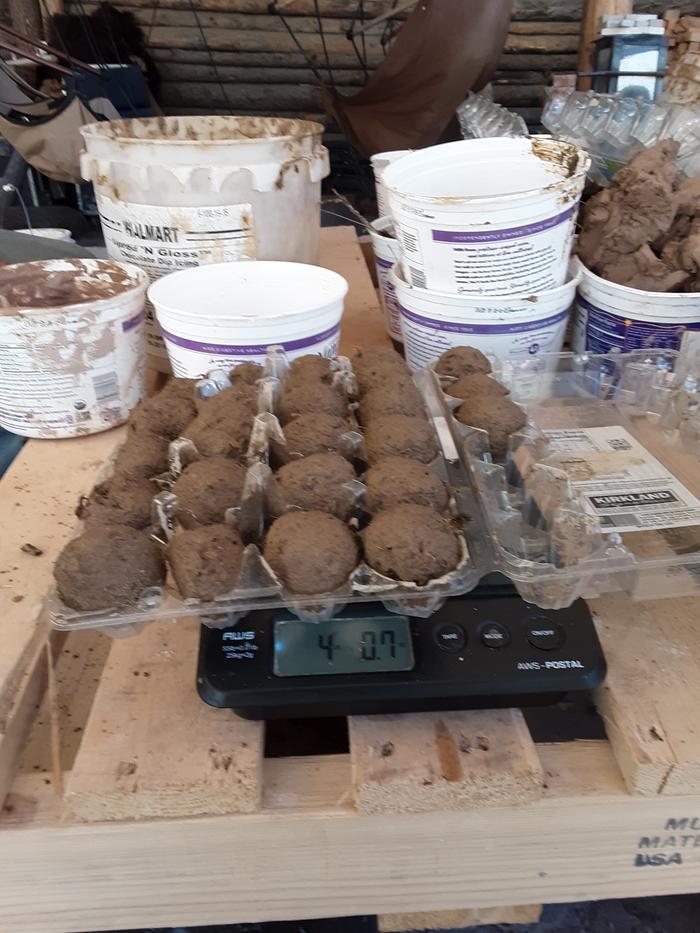 Seed balls weighed out