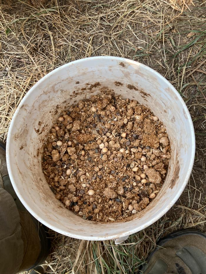 Seeds in my mixing container 