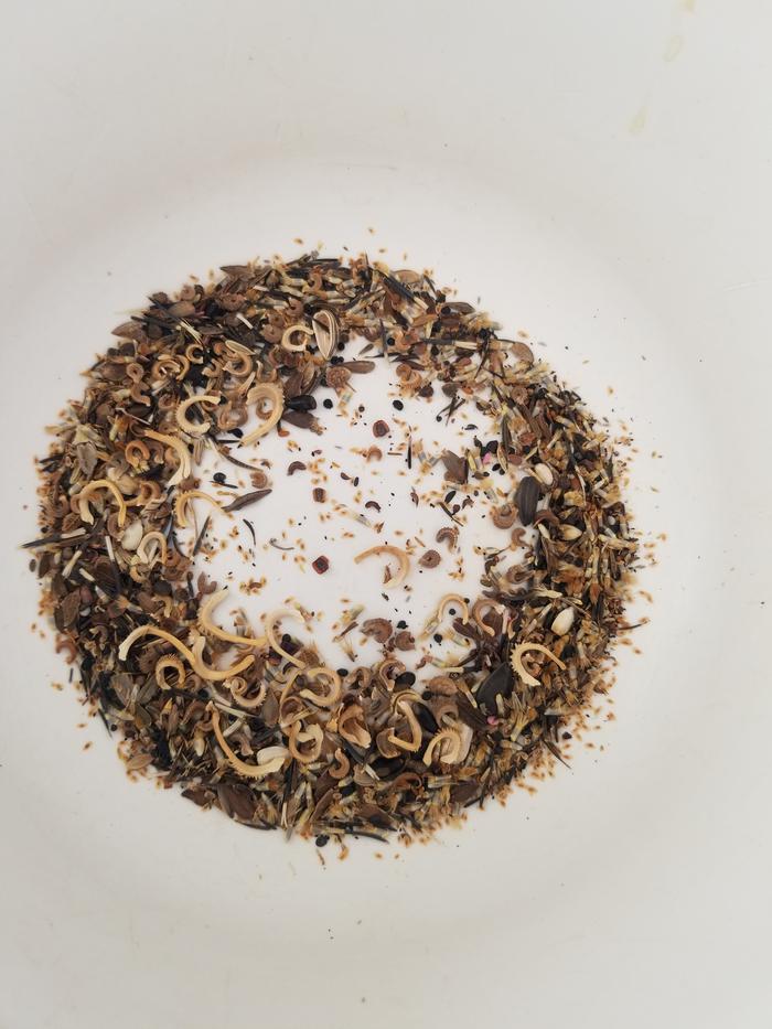 my seeds in my mixing bowl