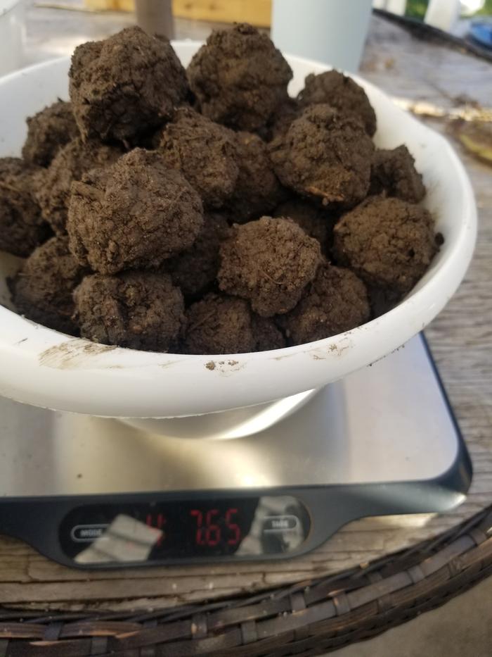 bowl full of balls