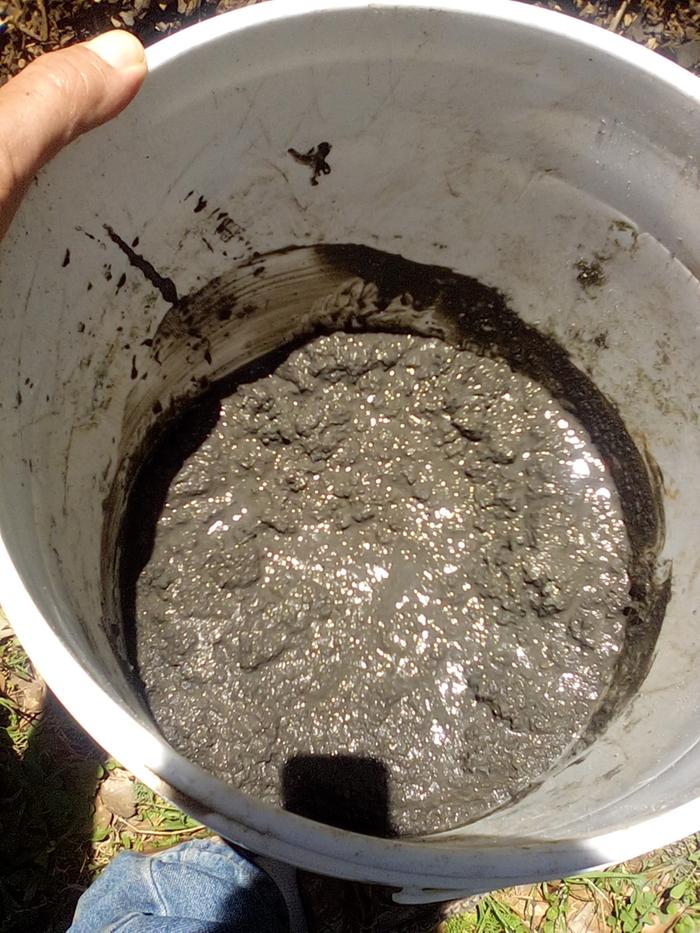 [Thumbnail for IMG_20250313_143155.jpeg]