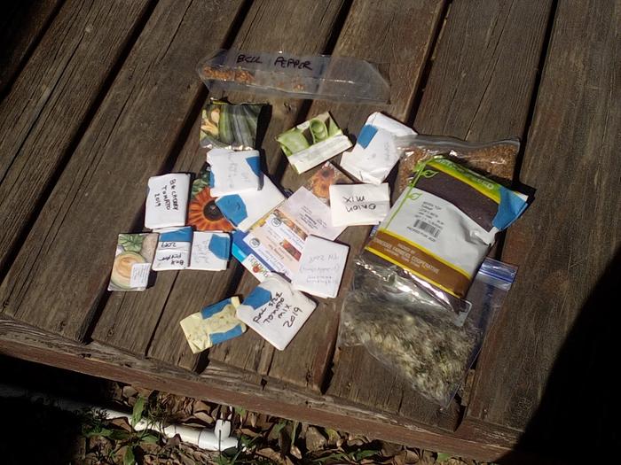 [Thumbnail for IMG_20250313_152822.jpeg]