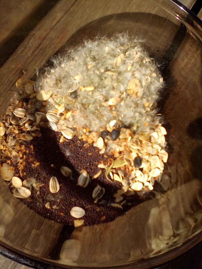 [Thumbnail for IMG_20250313_153645.jpeg]