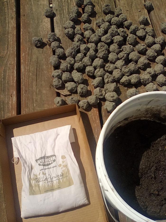 [Thumbnail for IMG_20250318_120641.jpeg]