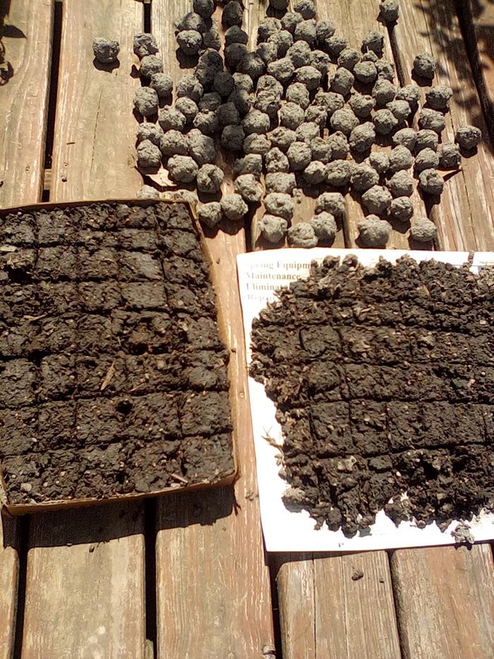 [Thumbnail for IMG_20250318_142409.jpeg]