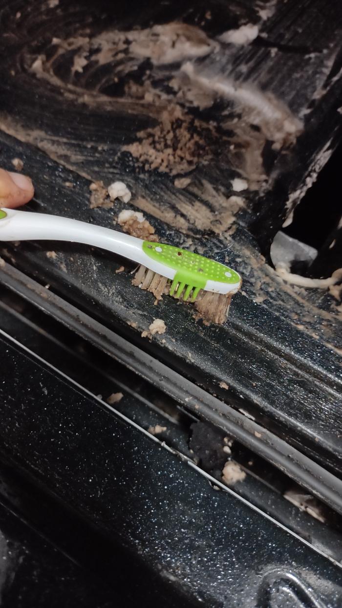 [Thumbnail for Scrubbing-with-Toothbrush.jpg]