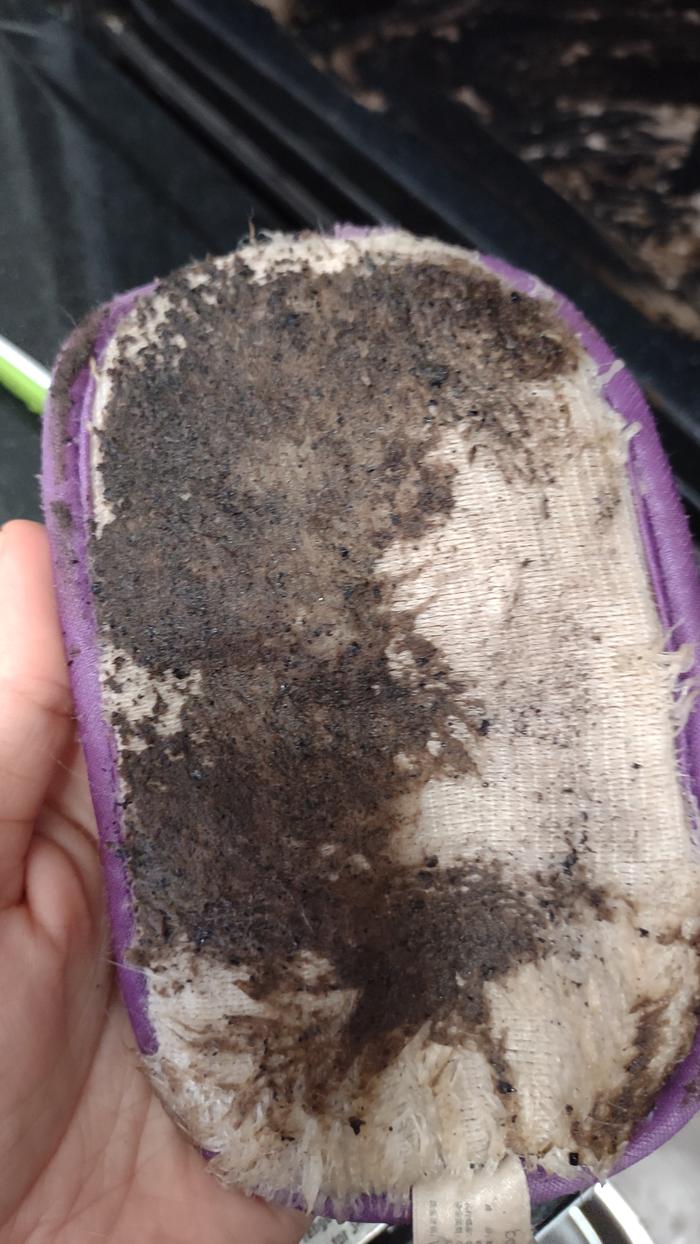 [Thumbnail for Yikes-Gunk.jpg]