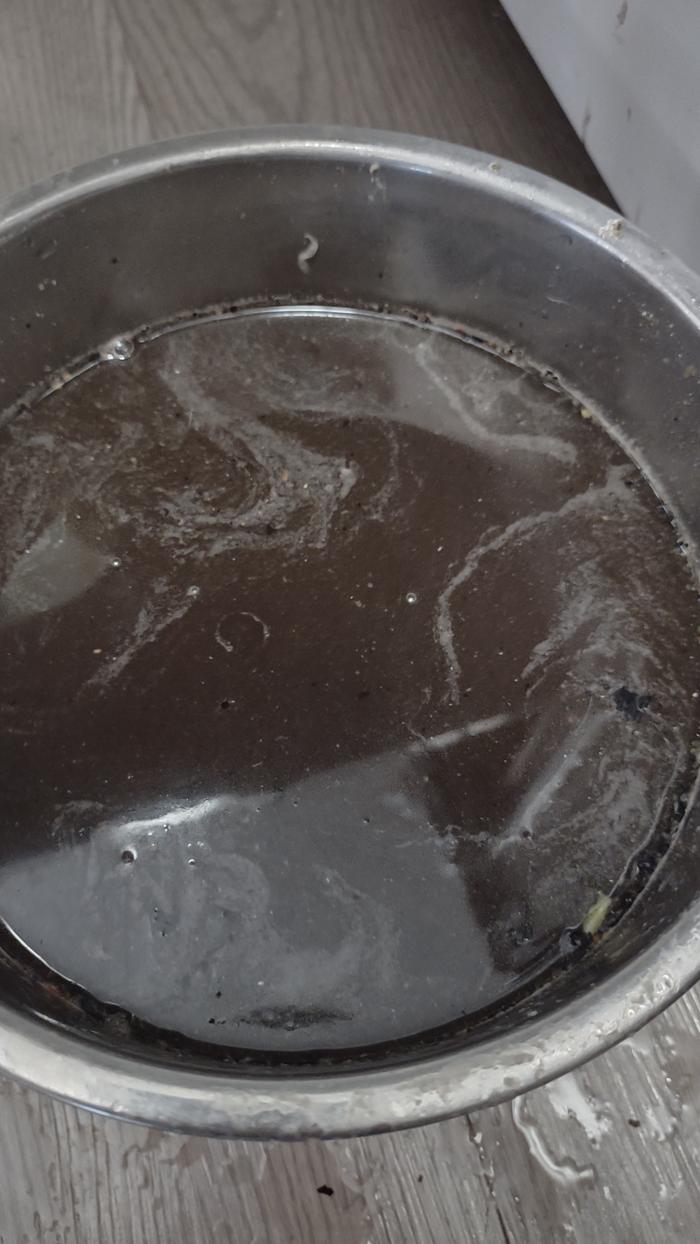 [Thumbnail for Yikes-Gunk-2.jpg]