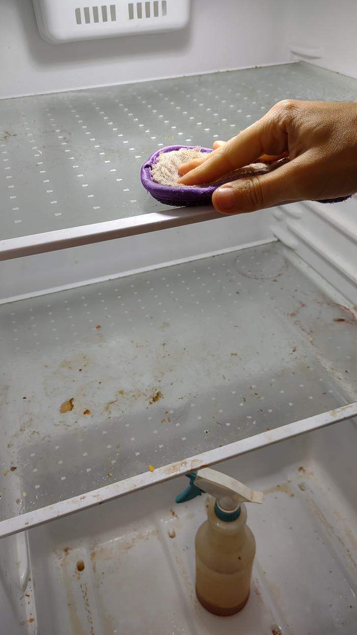 [Thumbnail for fridge-scrubbing.jpg]