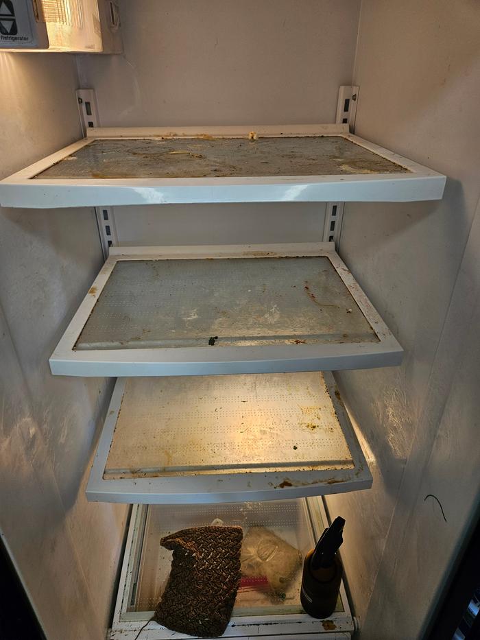 Yucky shelves!