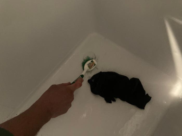 Cleaning 