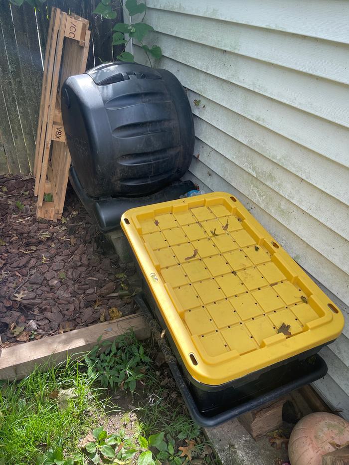 Worm farm and compost bin