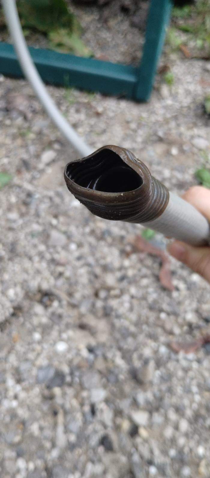 crushed male end