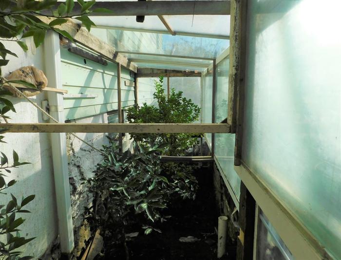 insides of catawampus/womperjog greenhouse