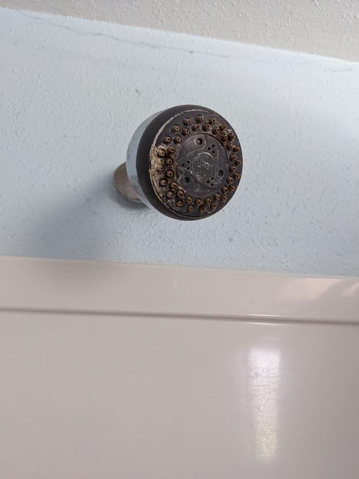 Grody shower head 