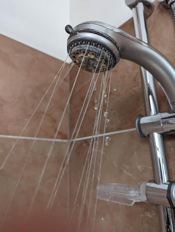 The dirty showerhead