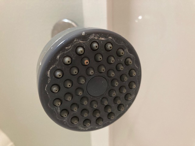 [Thumbnail for shower-head-before.jpg]