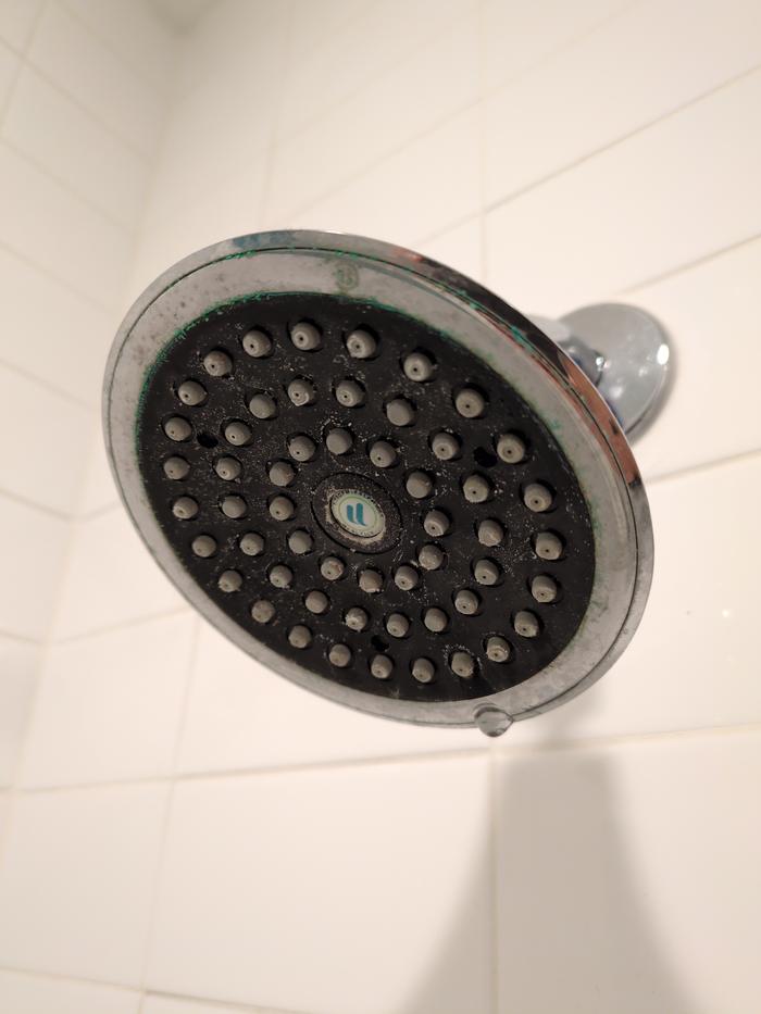 [Thumbnail for 2-dirty-shower.jpg]