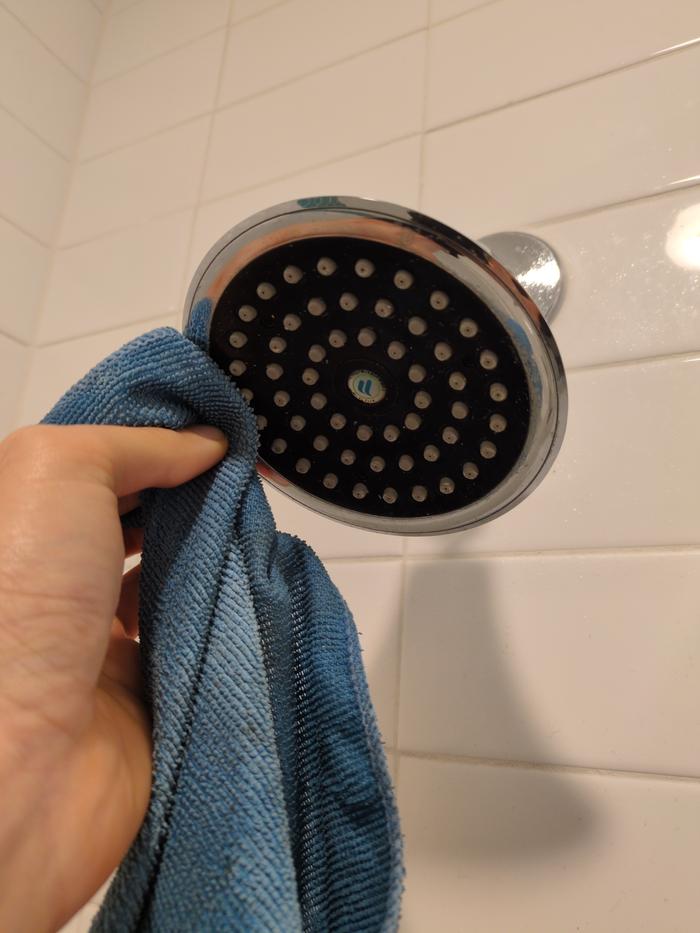 [Thumbnail for 3-dirty-shower-wipedown.jpg]