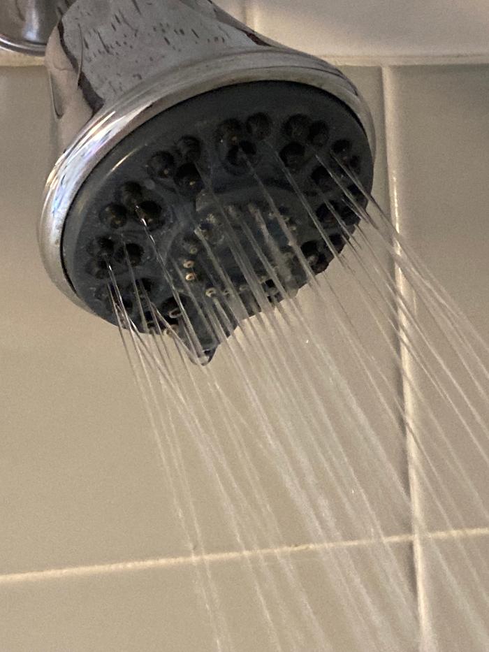 Calcified showerhead