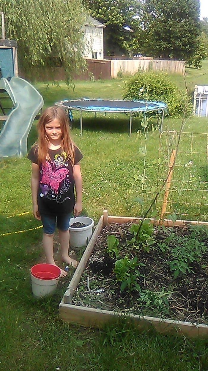 My middle daughter standing next to one of our sugar snap peas growing straight up..i haven't seen them get that tall before. It's almost 5ft. She's there for reference of size.