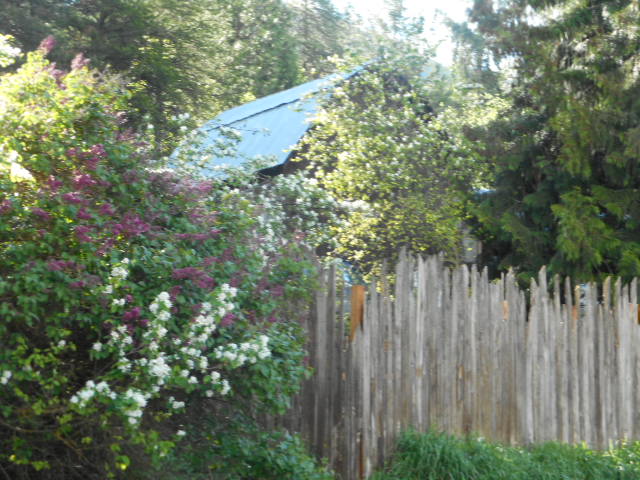 [Thumbnail for DSCN0283.JPG]