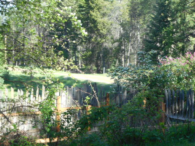 [Thumbnail for DSCN0279.JPG]