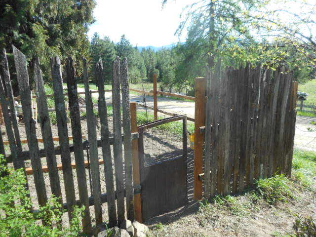 [Thumbnail for DSCN0275.JPG]