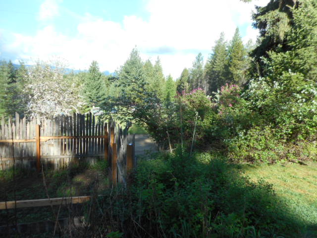 [Thumbnail for DSCN0280.JPG]