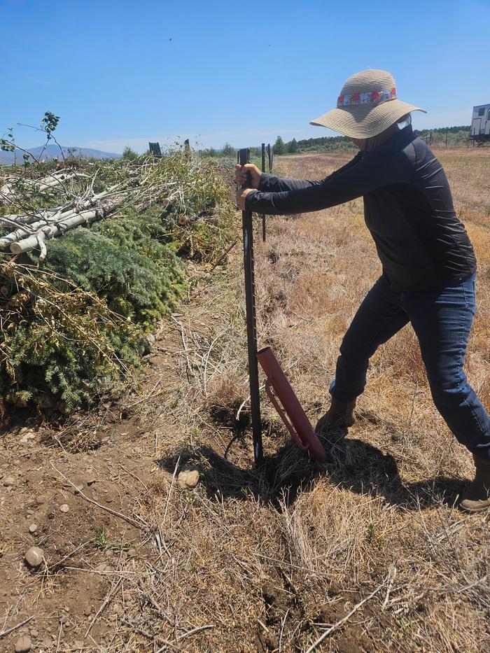 Using a post-pounder to actually remove the posts 