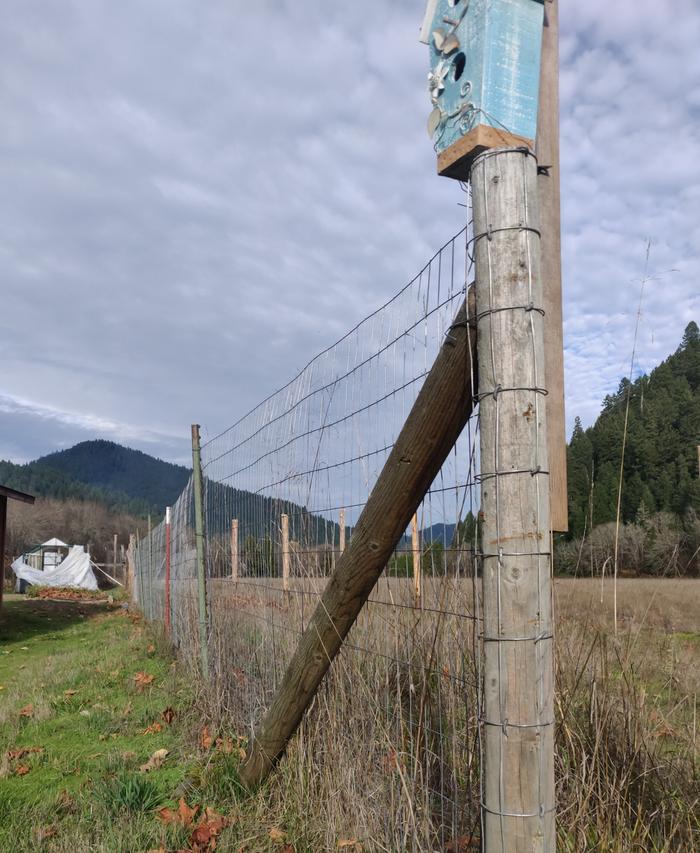 a before picture of the unwanted fence